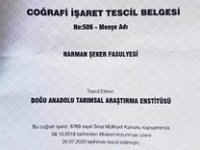 Narman şeker fasulyesi tescil edildi