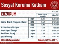 Aydemir Sosyal Koruma Kalkanı verilerini paylaştı