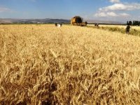 Tarım’da Erzurum farkı