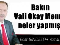 Gazeteci Yazar Esat Bindesen'in kaleminden...'Bakın Vali Okay Memiş neler yapmış!