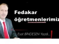 Gazeteci Yazar Esat Bindesen yazdı...'Fedakar öğretmenlerimiz…'