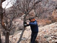 Yaban hayatı sahalarında avlananlar fotokapanla görüntülenecek