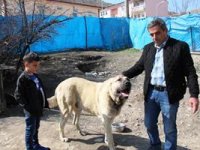 Köpek dile geldi; “Benim adım Ejder”