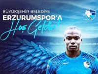 Mikhail Rosheuevel, BB Erzurumspor’da