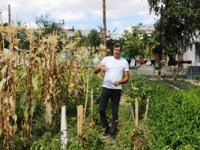 Erzurum’da yetişmez denilen sebzeyi 2 bin rakımda yetiştirdi