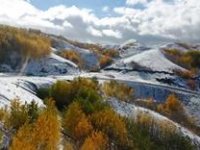 Erzurum ormanlarında kış ve sonbaharın renkleri görsel şölen yaşattı