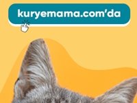 Çok Tercih Edilen ND Kedi Köpek Maması Kurye Mamada Satışa Sunulmuştur