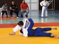 Judoda Analig heyecanı sona erdi