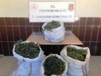 Jandarmadan uyuşturucu operasyonu