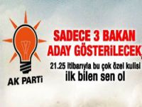 AK Parti'nin aday göstereceği 3 bakan