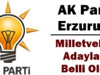 Ak Parti Erzurum milletvekili adayları belli oldu