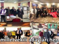 MHP milletvekili adayları her yerde