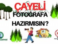 ÇAYELİ VE RİZE FOTOĞRAFLANIYOR