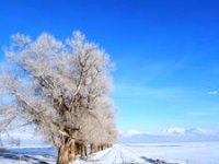 Erzurum dondu, termometreler -21’i gösterdi