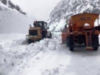 Erzurum-Rize karayoluna çığ düştü