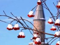 Erzurum hafta sonuna kadar kar yağışı bekleniyor