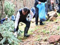 Vali Mustafa Çiftçi, ‘Orman Benim’ etkinliğine katıldı