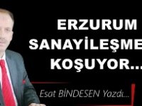 Gazeteci Yazar Esat Bindesen yazdı: 'Erzurum sanayileşmeye koşuyor… '