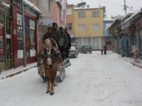 Atlı Kızak Ulaşımda Engel Tanımıyor