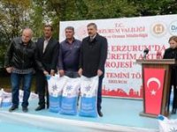 Erzurum'da DAP desteğiyle 935 ton buğday tohumu dağıtıldı