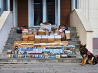 Erzurum'da jandarma kaçakçılara geçit vermiyor