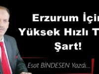 Gazeteci Yazar Esat Bindesen'in kaleminden: 'Erzurum İçin Hızlı Tren Şart!'