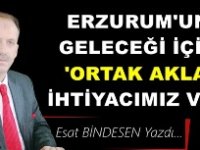 Gazeteci Yazar Esat Bindesen'in kaleminden: 'Erzurum’un Geleceği İçin Ortak Akla İhtiyacımız Var'