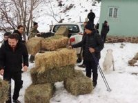 Erzurum'da doğaseverler yaban hayatını unutmadılar