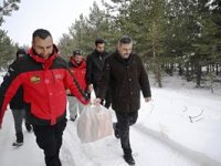 Vali Mustafa Çiftçi, yaban hayvanlarına yem bıraktı