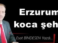 Gazeteci Yazar Esat Bindesen'in kaleminden: 'Erzurum koca şehir'