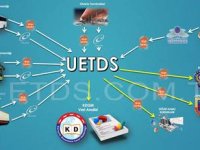 U-ETDS.com.tr: Taşımacılık Dünyasının Dijital Dönüşümüne Katılın