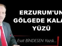 Gazeteci Yazar Esat Bindesen'in kaleminden: 'Erzurum’un Gölgede Kalan Yüzü