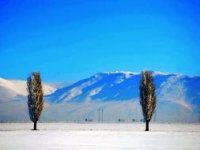 Erzurum’da zemheri soğuklar