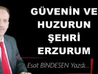 Gazeteci Yazar Esat Bindesen'in kaleminden: 'Güvenin ve huzurun şehri Erzurum'