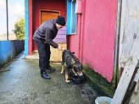 Köpeğin vefası herkesi duygulandırdı