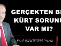 Gazeteci Yazar Esat Bindesen'in kaleminden:'Gerçekten bir Kürt sorunu var mı?'