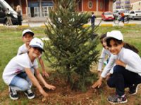 Palandöken Belediyesi Fidan Dikti