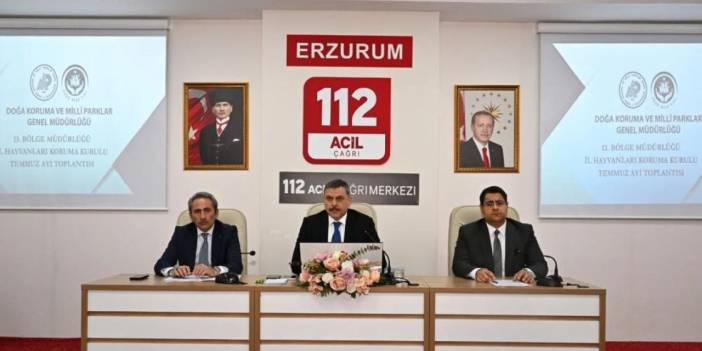 Sokak hayvanları mercek altında