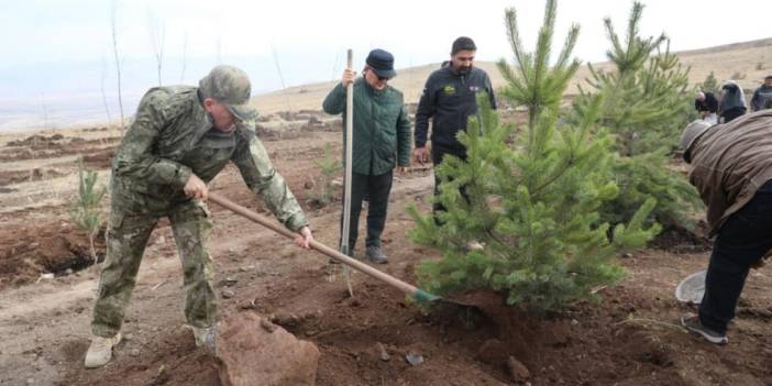 Şehit arkadaşlarının hatırasına 2 bin 400 rakımlı tepeye ağaç diktiler