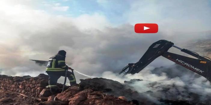 21 büyükbaş havyan telef oldu