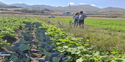 Erzurum’da kadın çiftçilere yeni destek: Kırmızılahana ve kereviz tarlaları mercek altında