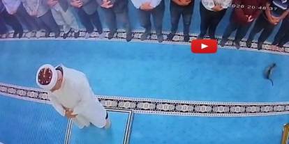 Camide kediyi tekmelemişti! Sosyal medya ayağa kalktı, şüpheli gözaltına alındı”