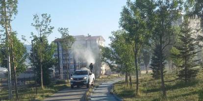 Büyükşehir'den ilaçlama atağı