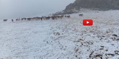 Erzurum’da yüksek kesimlere kar yağdı