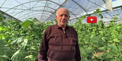 Doğu Anadolu'nun en büyük serasında üretim aralıksız sürüyor