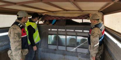 Bir ay içinde 28 düzensiz göçmen yakalandı