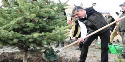 "Hastaya kan, ormana can"