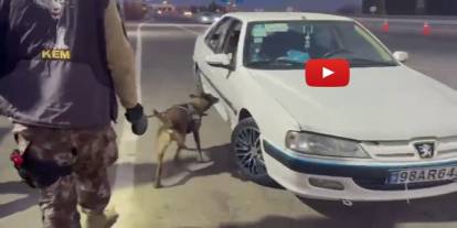 Erzurum'da araçta gizlenmiş uyuşturucuyu 'Magnum' buldu