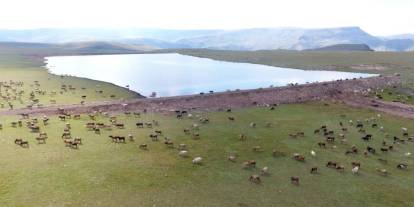 Gölet yapımında Türkiye’ye örnek olan şehir: Erzurum