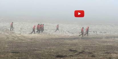 Erzurum’da kaybolan çoban ve sürüyü arama çalışmaları devam ediyor